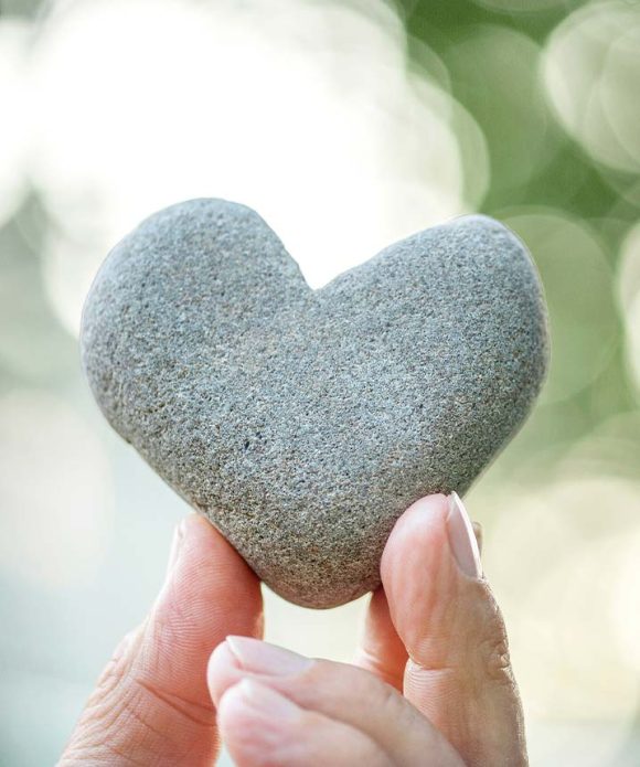 Appreciated Securities/Stock Donations Donating appreciated securities to us avoids taxes on the appreciation and the donor deducts the value of the securities. Click to learn more.