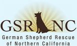 German Shepherd Rescue of Northern California