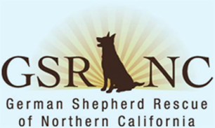 German Shepherd Rescue of Northern California