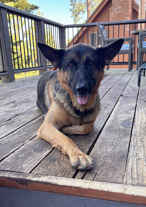 Heidi