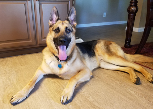 Maximus