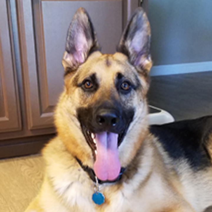 Maximus